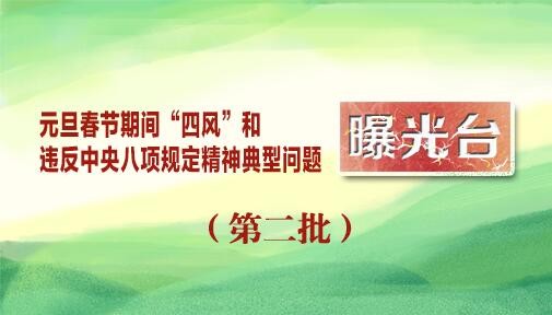 元旦春节期间“四风”和违反中央八项规定精神典型问题曝光台（第二批）